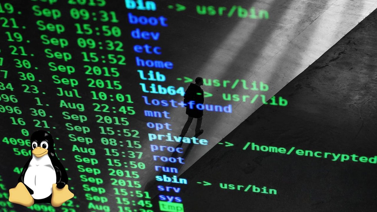 Linux lays down the law on AI-generated code, yes to Copilot, no to AI slop, and humans take the fall for mistakes — after months of fierce debate, Torvalds and maintainers come to an agreement