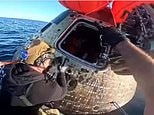 'Welcome home!' Watch the heartwarming moment the recovery crew opened Integrity's hatch after NASA's Artemis II astronauts splashed down following their historic moon mission